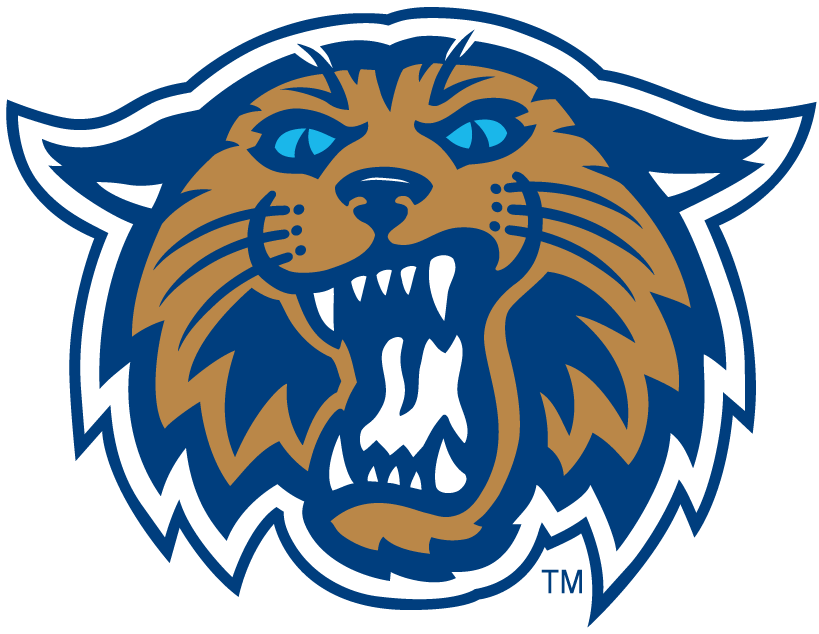 Villanova Wildcats 2004-Pres Alternate Logo diy iron on heat transfer